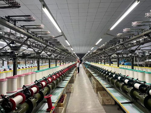 用好 數(shù)字化出?？?山東周村絲綢通過阿里國際站出海全球50多國